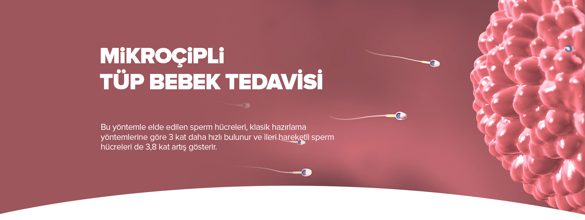 Kayseri Hüma Tüp Bebek Merkezi